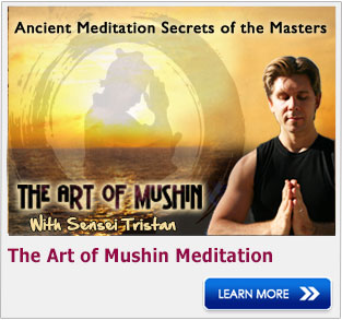 theartofmushin