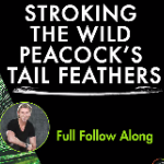 Stroking Feathers