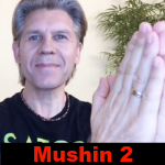 Mushin Meditation - Part 2
