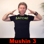 Mushin Meditation - Part 3
