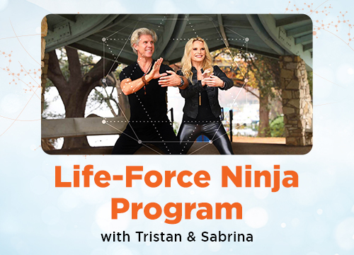 Life Force ninja